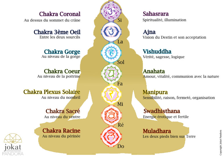 Les Chakras Lotus Zen